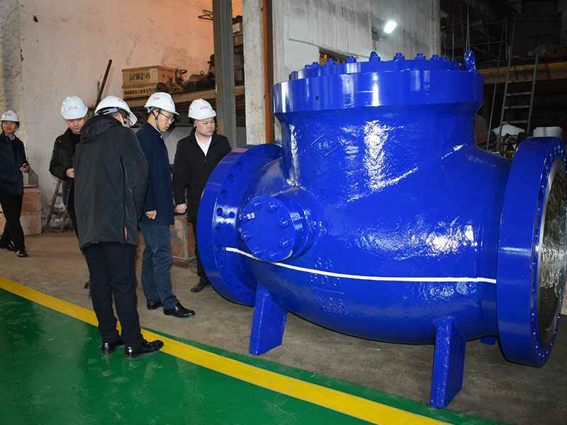 苗市长走访乐鱼在线登录官方网站-乐鱼(中国)集团